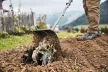 STIHL KM 131 R benzines kombimotor