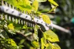 STIHL KM 131 R benzines kombimotor