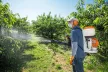 STIHL SR 200 benzinmotoros permetezőgép