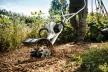 STIHL MM 56 benzines multimotor
