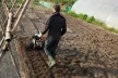 STIHL MH 585 motoros kapa