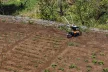 STIHL MH 685 motoros kapa