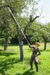 STIHL HTA 135 Akkumulátoros magassági ágnyeső (akkumulátor és töltő nélkül)