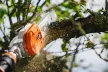 STIHL HTA 135 Akkumulátoros magassági ágnyeső (akkumulátor és töltő nélkül)