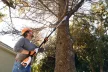 STIHL HTA 50 Akkumulátoros magassági ágnyeső ( akkumulátor és töltő nélkül)