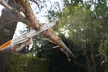 STIHL HTA 50 Akkumulátoros magassági ágnyeső ( akkumulátor és töltő nélkül)