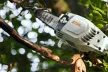STIHL HTA 86 Akkumulátoros magassági ágnyeső (akkumulátor és töltő nélkül)