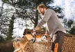 STIHL MSA 70 C-B Akkumulátoros motorfűrész (akkumulátor és töltő nélkül)